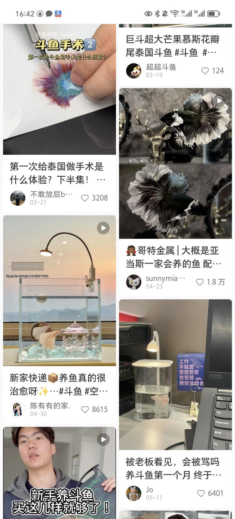 无意间在小红书里刷到斗鱼，马上就被….-网创风向标论坛-网络创业-网创圈