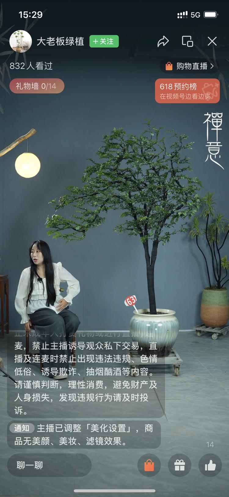 大型盆景，园艺绿植直播。观看人数….-网创风向标论坛-网络创业-网创圈