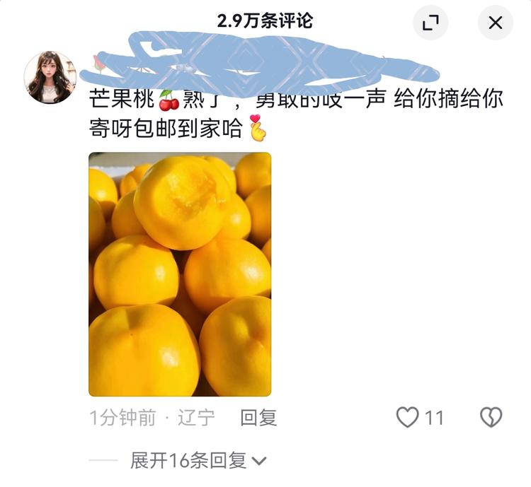 抖音热门视频评论区发时令水果引流….-网创风向标论坛-网络创业-网创圈