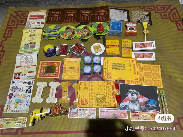 宠物祭品…有点惊人…-网创风向标论坛-网络创业-网创圈