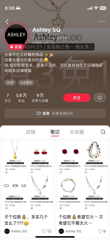 小红书做饰品的，刷到了很多，前台的数….-网创风向标论坛-网络创业-网创圈