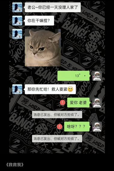 在视频号上，发现不少发搞笑对话的视频….-网创风向标论坛-网络创业-网创圈