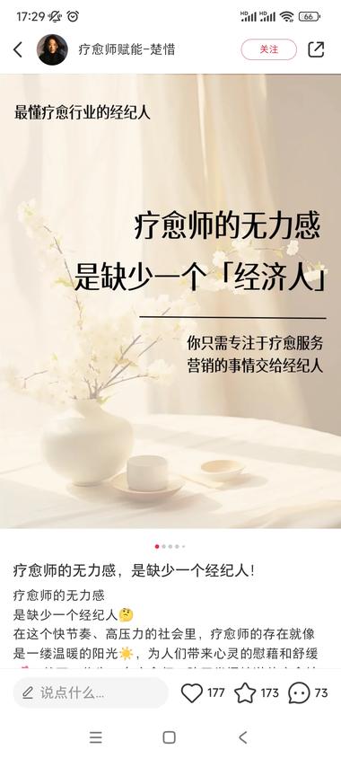 疗愈师经纪人，团队化操作，评论区有很….-网创风向标论坛-网络创业-网创圈