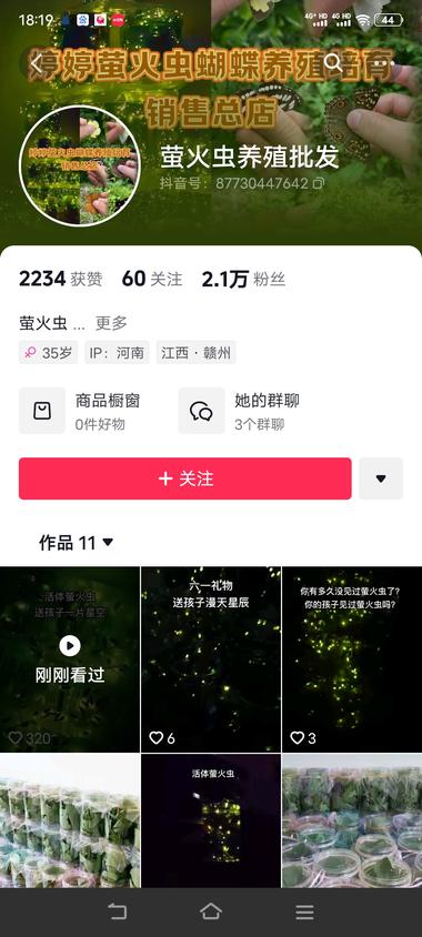 这个小众赛道，比较新奇….-网创风向标论坛-网络创业-网创圈