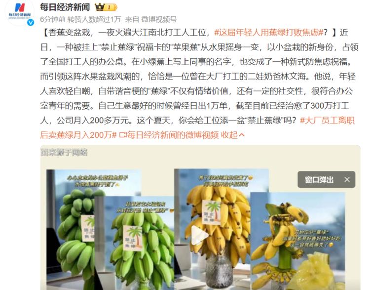 香蕉变盆栽，一夜火遍大江南北打工人工….-网创风向标论坛-网络创业-网创圈