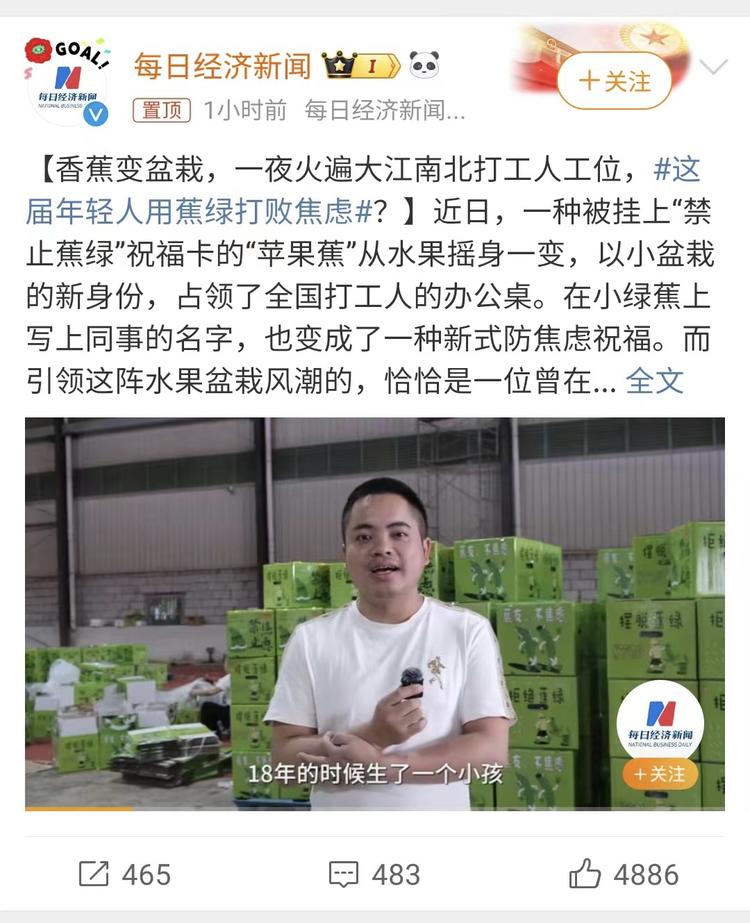 香蕉变盆栽，月入200万。现在大家的….-网创风向标论坛-网络创业-网创圈