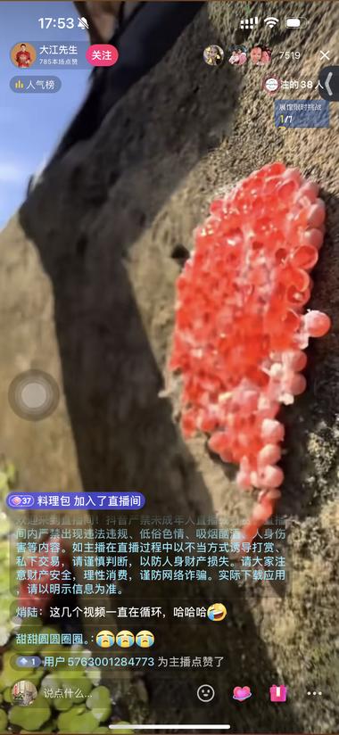 绿幕直播，画面播的是一些解压素材，主….-网创风向标论坛-网络创业-网创圈