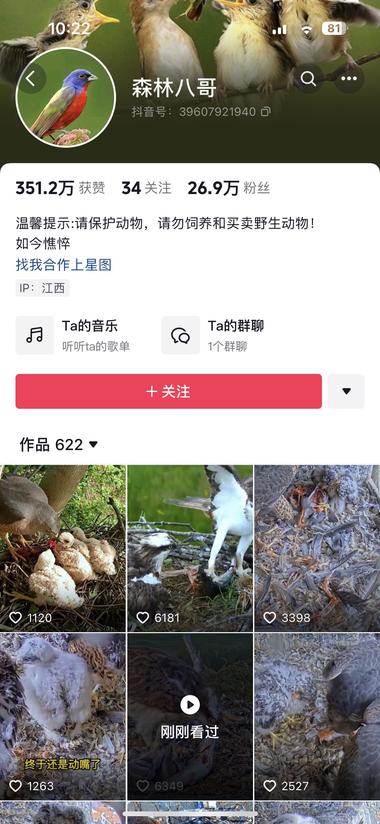 抖音小众赛道 小鸟喂食视频
每个视频都….-网创风向标论坛-网络创业-网创圈