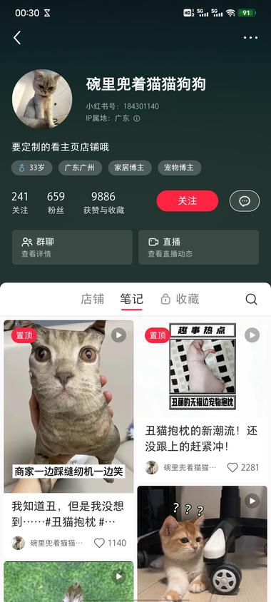 定制宠物丑抱枕，粉丝很少，但流量还….-网创风向标论坛-网络创业-网创圈
