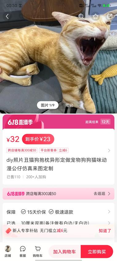 图片[2]-定制宠物丑抱枕，粉丝很少，但流量还….-网创风向标论坛-网络创业-网创圈