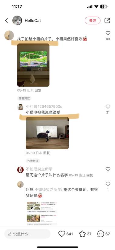 宠物行业新细分——给家里猫狗崽崽看的片源….-网创风向标论坛-网络创业-网创圈