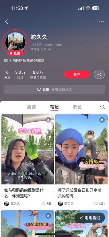 小红书：稀有动物吸睛，然后带鸵鸟毛….-网创风向标论坛-网络创业-网创圈