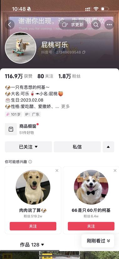 很有趣的视频，可以做宠物相关的带货也….-网创风向标论坛-网络创业-网创圈