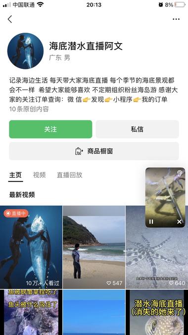 视频号新奇内容录播
销售额51w，直播….-网创风向标论坛-网络创业-网创圈