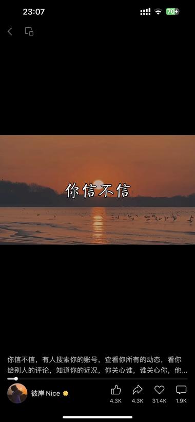 图片[2]-视频号“你信不信”的Z愈系预言，很….-网创风向标论坛-网络创业-网创圈