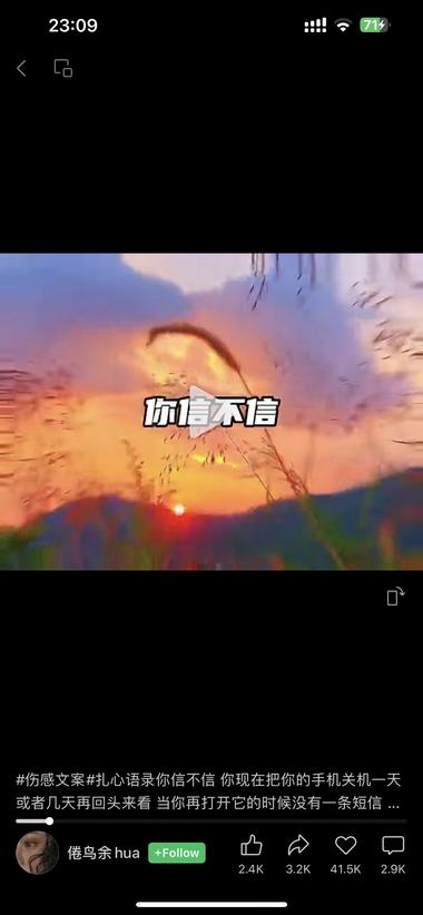 图片[3]-视频号“你信不信”的Z愈系预言，很….-网创风向标论坛-网络创业-网创圈
