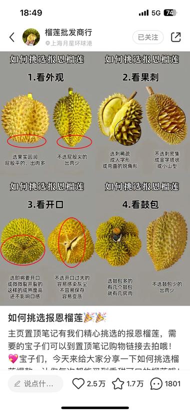 榴莲怎么挑，小红书爆火带货榴莲月入十….-网创风向标论坛-网络创业-网创圈