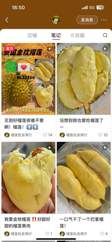 图片[3]-榴莲怎么挑，小红书爆火带货榴莲月入十….-网创风向标论坛-网络创业-网创圈