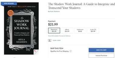 《The Shadow Work Journal》在 ….-网创风向标论坛-网络创业-网创圈