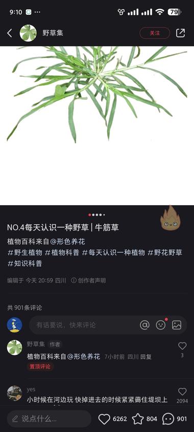 小红书植物科普账号，流量还是不错的。….-网创风向标论坛-网络创业-网创圈