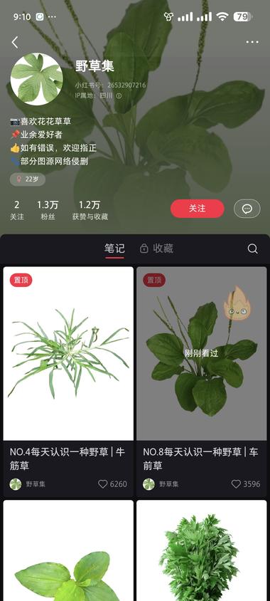 图片[2]-小红书植物科普账号，流量还是不错的。….-网创风向标论坛-网络创业-网创圈