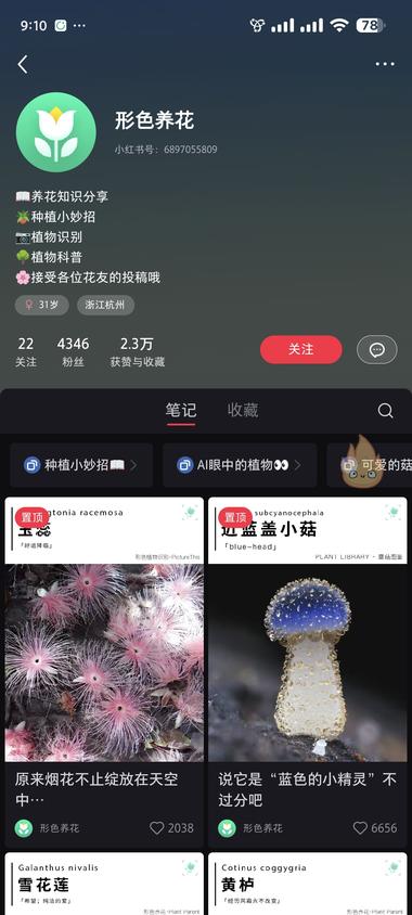 图片[3]-小红书植物科普账号，流量还是不错的。….-网创风向标论坛-网络创业-网创圈