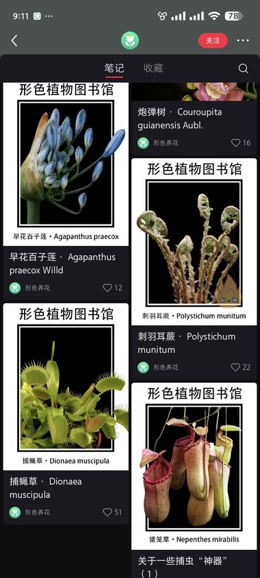 图片[4]-小红书植物科普账号，流量还是不错的。….-网创风向标论坛-网络创业-网创圈