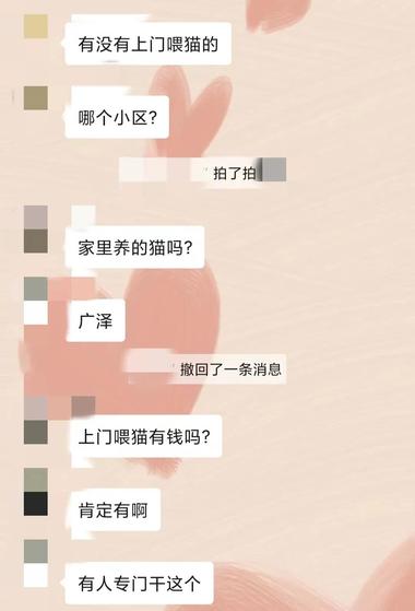 养宠物的人越来越多，节假日放假外出….-网创风向标论坛-网络创业-网创圈
