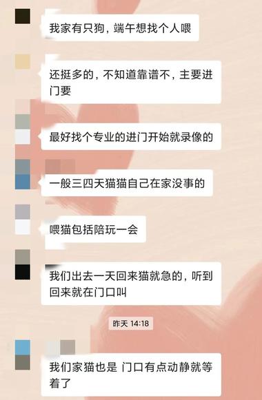 图片[2]-养宠物的人越来越多，节假日放假外出….-网创风向标论坛-网络创业-网创圈
