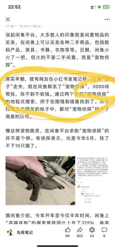 新兴行业 宠物侦探 帮找丢失宠物，客单价….-网创风向标论坛-网络创业-网创圈
