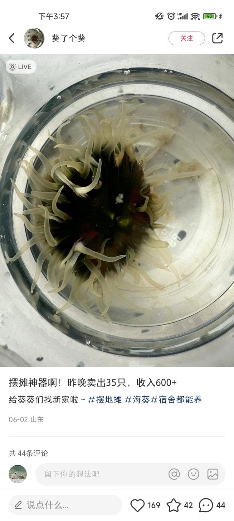最近卖海葵水母之类的小水族箱的蛮火的….-网创风向标论坛-网络创业-网创圈