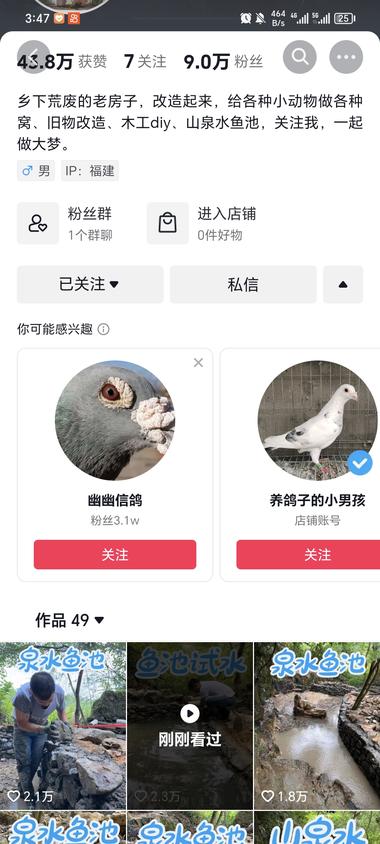 这个账号，涨粉很快，刚开始做小动物的窝….-网创风向标论坛-网络创业-网创圈
