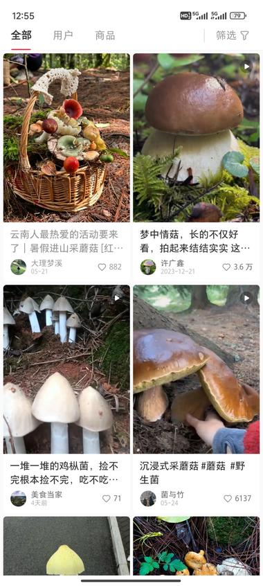 图片[2]-小红书细分项目: 云南找蘑菇，专门分享….-网创风向标论坛-网络创业-网创圈