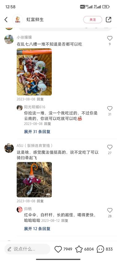 图片[3]-小红书细分项目: 云南找蘑菇，专门分享….-网创风向标论坛-网络创业-网创圈