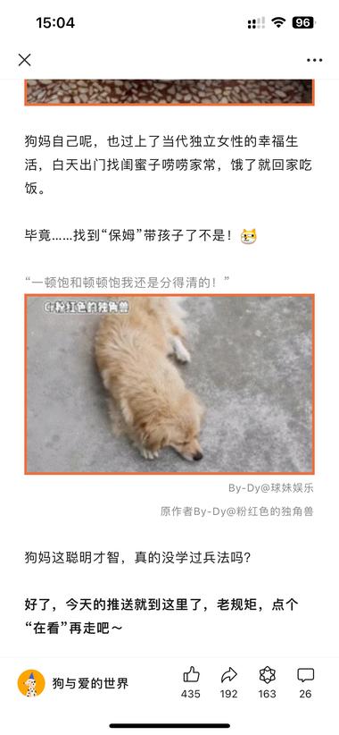 图片[3]-#风向标 喜欢宠物的朋友可以参考这个账….-网创风向标论坛-网络创业-网创圈
