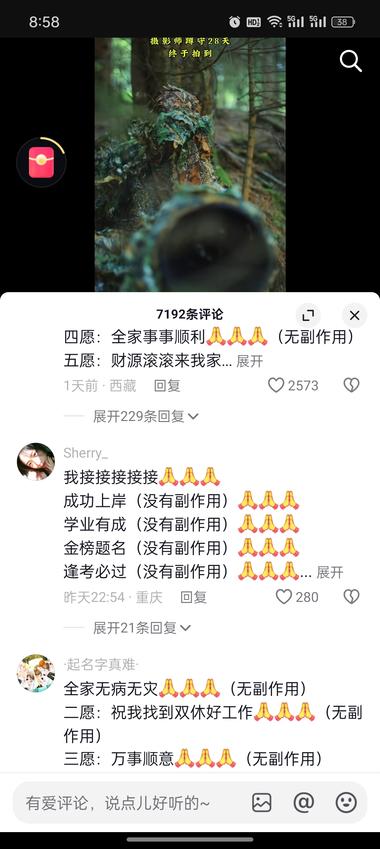 图片[2]-这个有点像公众号只写动物一类的文章….-网创风向标论坛-网络创业-网创圈
