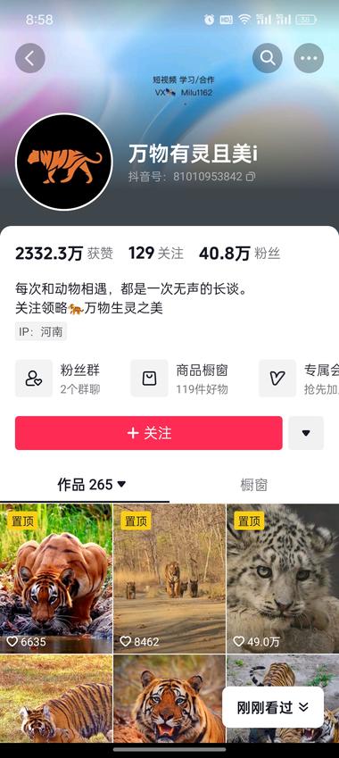 图片[3]-这个有点像公众号只写动物一类的文章….-网创风向标论坛-网络创业-网创圈