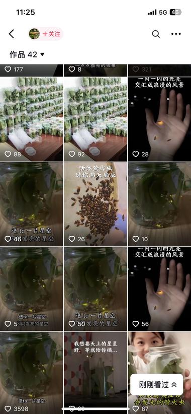 图片[2]-万物皆可卖啊，萤火虫，女孩子都爱的浪….-网创风向标论坛-网络创业-网创圈