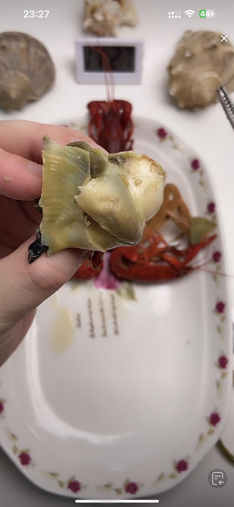 这种食品讲解类能吃不能持的部位也挺….-网创风向标论坛-网络创业-网创圈