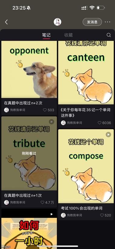 图片[2]-小红书-发布7篇3.7万粉丝
6月….-网创风向标论坛-网络创业-网创圈
