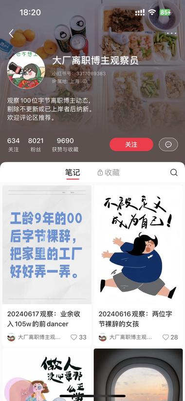 当离职博主成为小红书职场热门赛道，观….-网创风向标论坛-网络创业-网创圈