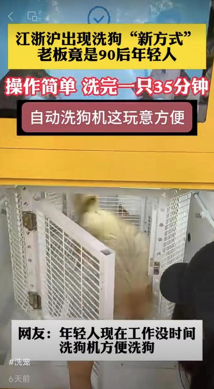 自动洗狗机，这玩意太迎合！年轻人的宠物….-网创风向标论坛-网络创业-网创圈