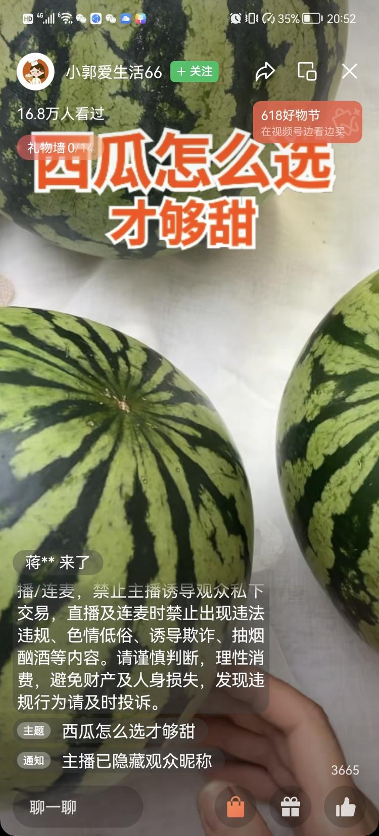 吃瓜季节，打出“如何选瓜”大旗，直播….-网创风向标论坛-网络创业-网创圈