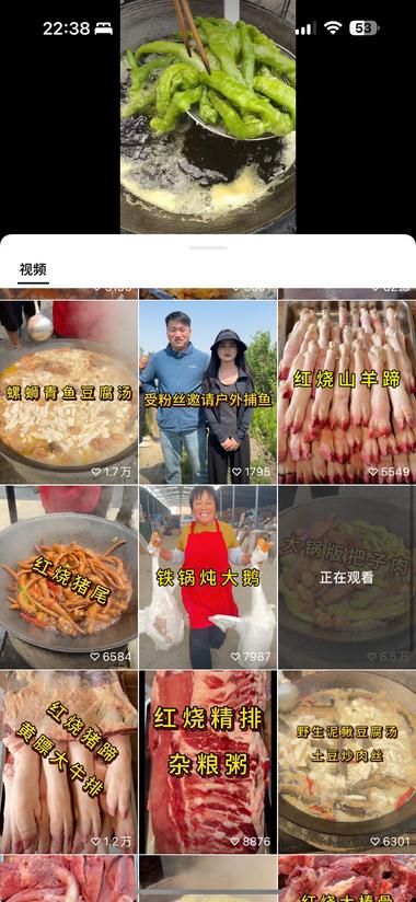 图片[2]-美食自媒体，农家饭菜看起来干净卫生。….-网创风向标论坛-网络创业-网创圈