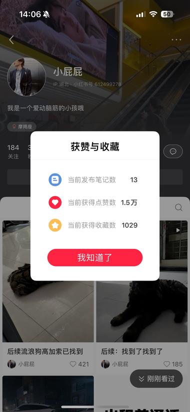 发维秘胶带走秀，13篇笔记9800多….-网创风向标论坛-网络创业-网创圈