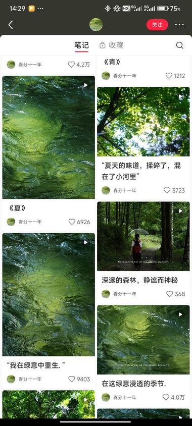 一些绿植，一些绿色流水
配治愈文….-网创风向标论坛-网络创业-网创圈