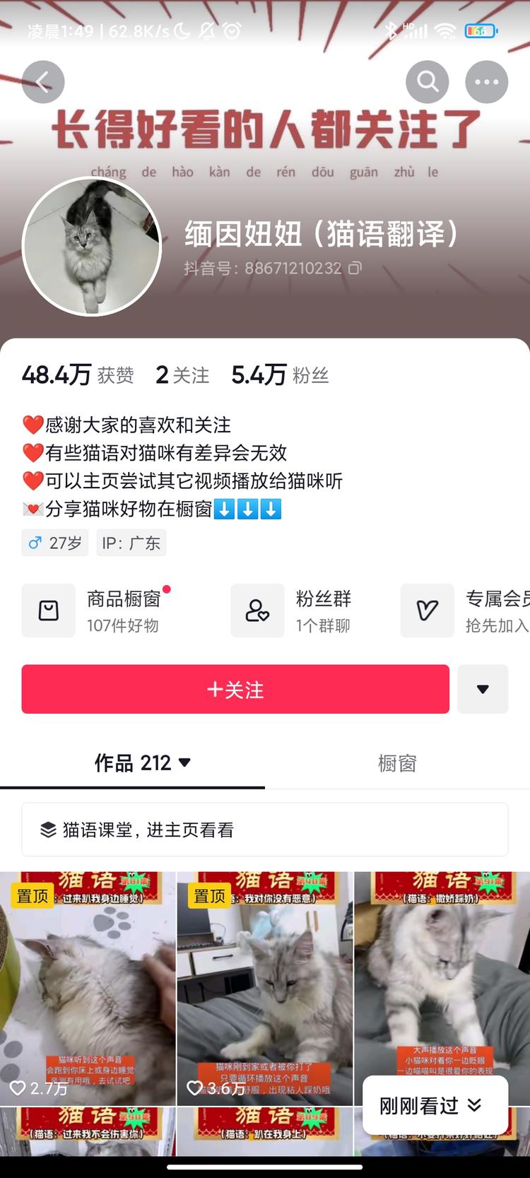 猫咪的各种叫声代表着什么意思？发散….-网创风向标论坛-网络创业-网创圈