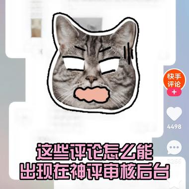 快手评论区也是有机会出圈的，如果能够….-网创风向标论坛-网络创业-网创圈