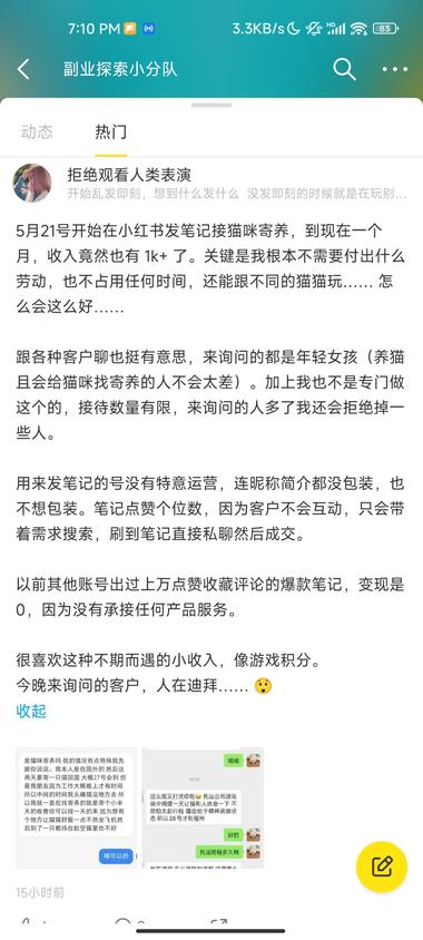 喜欢猫的可以试试这个，猫咪寄养，小….-网创风向标论坛-网络创业-网创圈