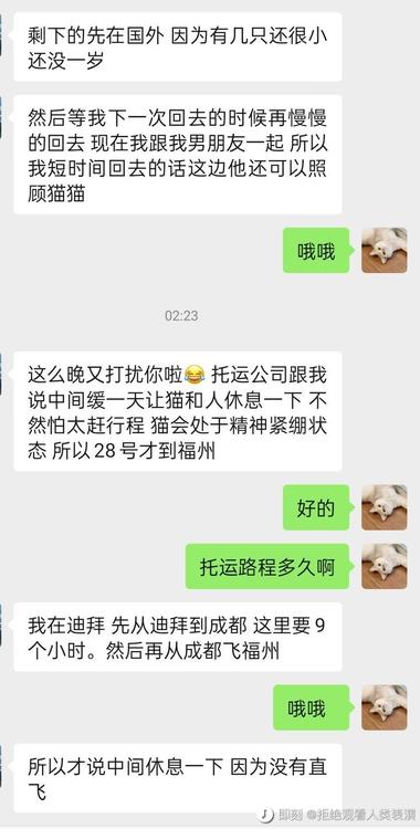 图片[3]-喜欢猫的可以试试这个，猫咪寄养，小….-网创风向标论坛-网络创业-网创圈